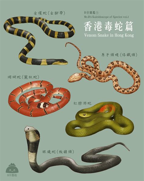 香港蛇